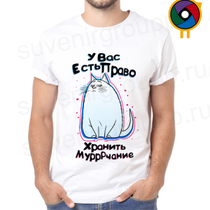 Футболка  У вас есть право