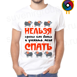 Футболка  Нельзя просто так взять и уложить меня спать