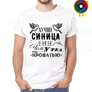 Футболка  Лучше синица в небе